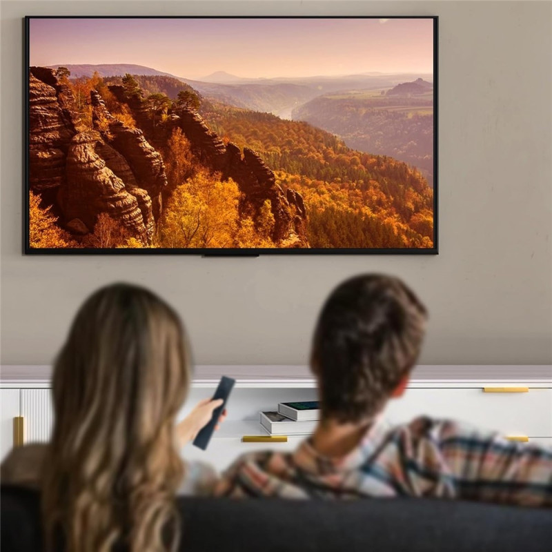 Fjernkontrollerstatning ERF3B69 For Hisense TV