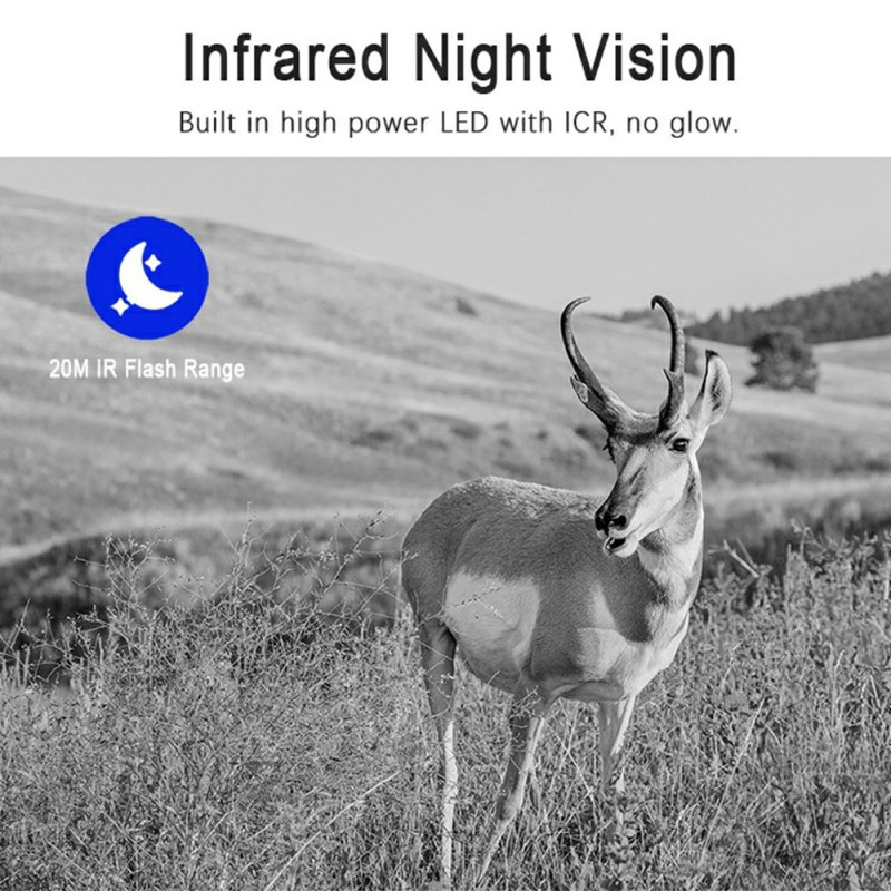 Overvåk dyreliv ville dyr jaktkamera 4G fjernovervåking trådløst stikamera