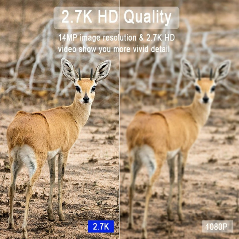 Monitor Wildlife Wild Animals Hunting Camera 4G Remote Surveillance Wireless Trail Cam