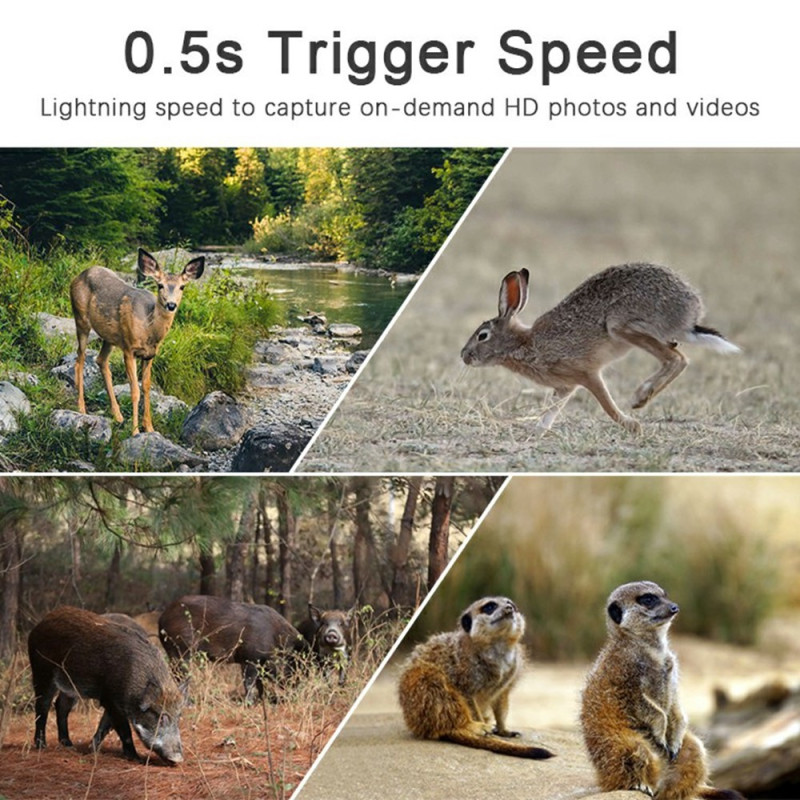 Monitor Wildlife Wild Animals Hunting Camera 4G Remote Surveillance Wireless Trail Cam