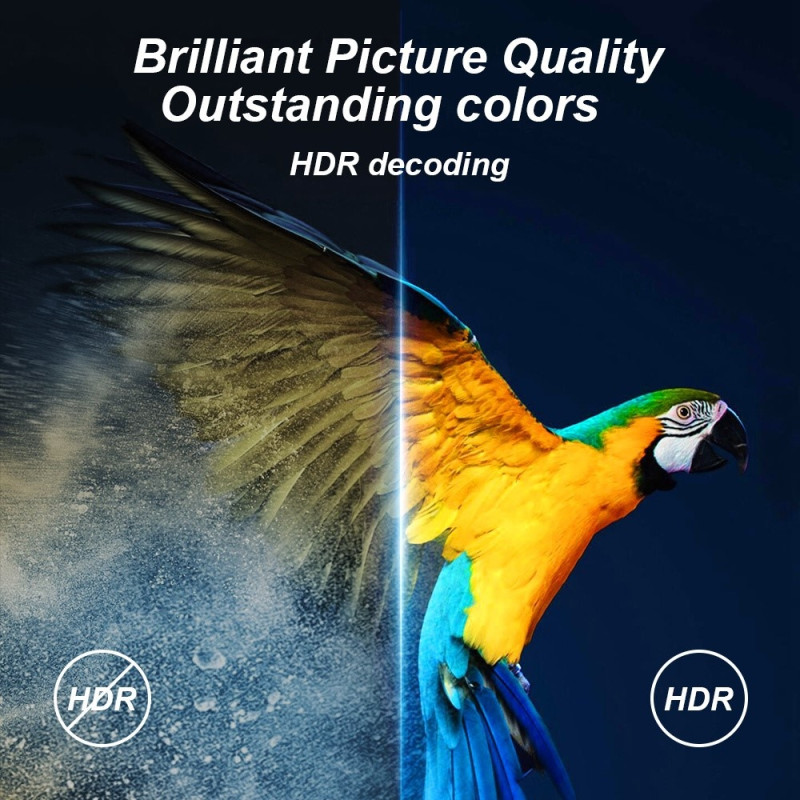 H20 Pro Smart TV Box Android 10.0 6K Ultra HD Media Player with Remote Control