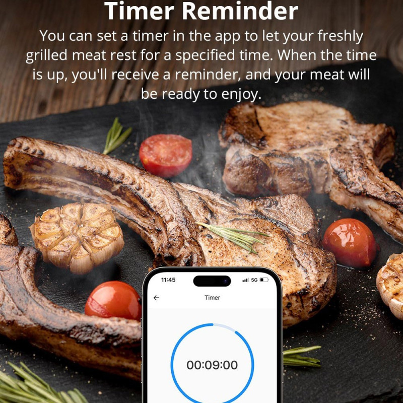 SONOFF Kött-Termometer Bluetooth Smart APP Monitoring Grill Temperatur Tester