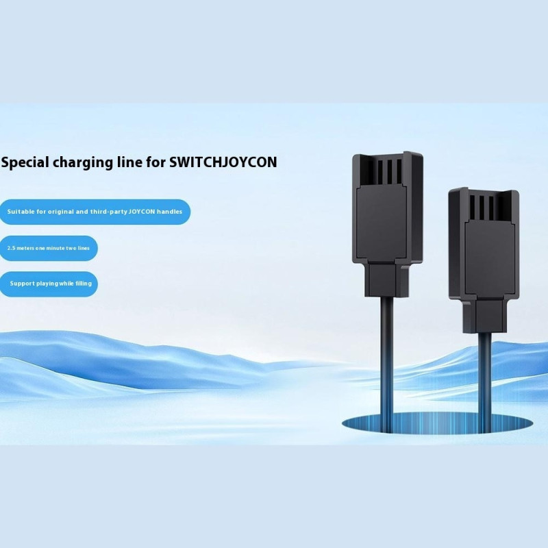 2 in 1 Charging Cable Compatible with Nintendo Switch Joy-Con 2.5m Extended USB Charger Cord