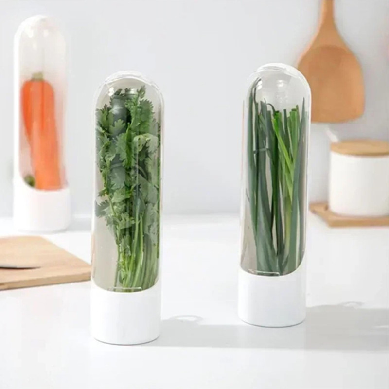 Refrigerator Vegetable Fresh Keeping Container Plants Storage