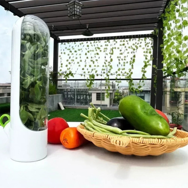 Refrigerator Vegetable Fresh Keeping Container Plants Storage