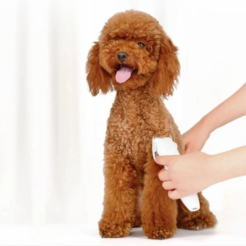 XIAOMI Pawbby sähköinen parranajotrimmeri lemmikkikoirille