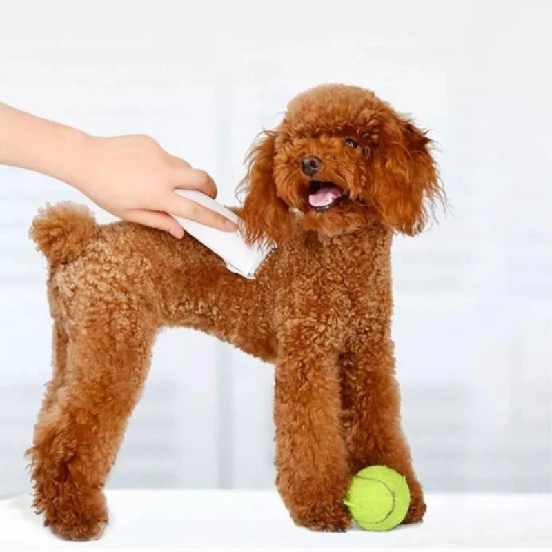 XIAOMI Pawbby elektrisk barberklipper til hunde