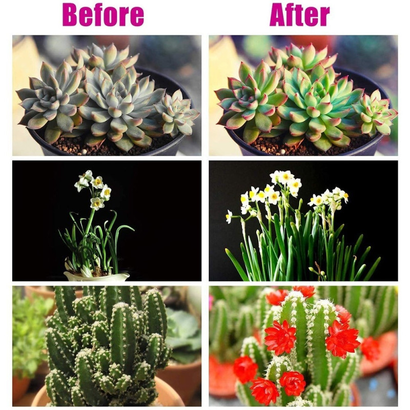 3 Head Grow Light 60 LED - pærer Plantedyrking Automatisk PÅ/AV