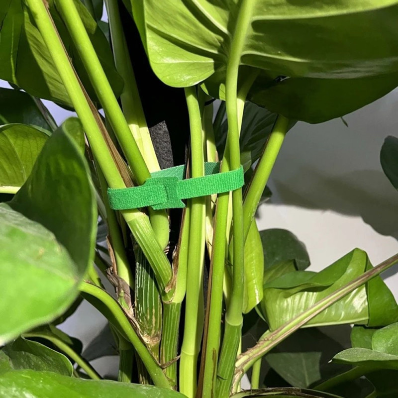 10 stk Nylon Magic Tape Haveplante bindebånd 10x1cm