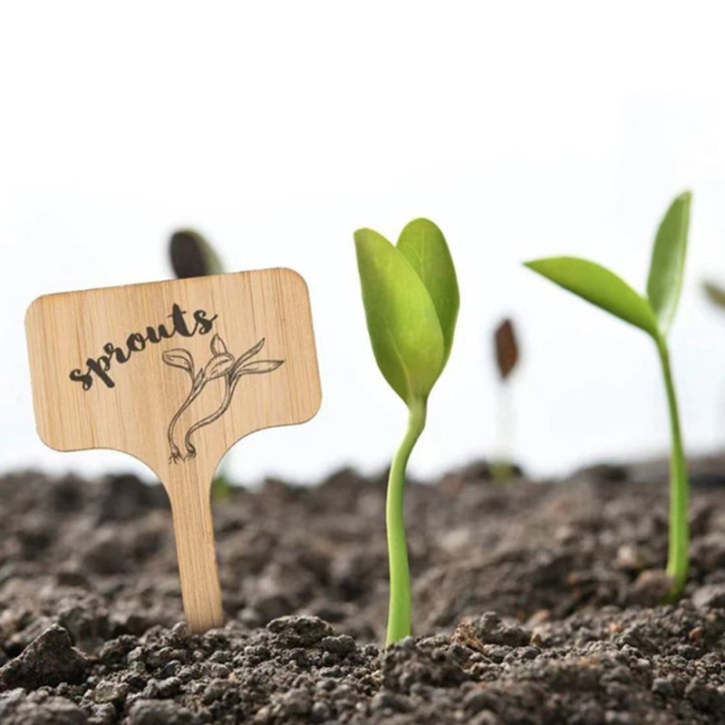 10 stk hageetiketter Skiltemerker Blank etikett