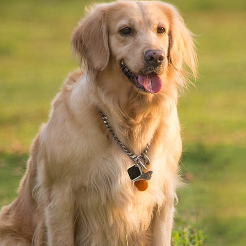 M2 Bluetooth Tracker Bilnøgle Anti - Loss Finder Finder - enhed