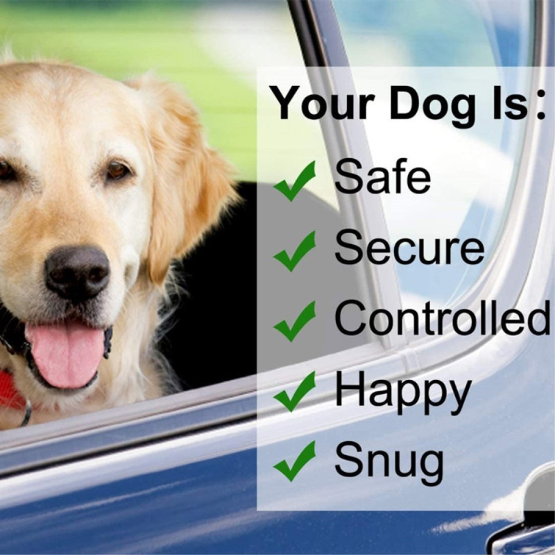 Koiran vyö auton säädettäviin koiravaljaisiin Auton vyö Lemmikkihihna