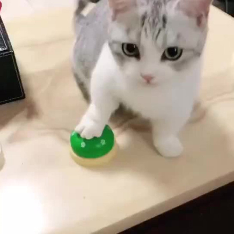 Pet Bell for Dog Cat Training Interactive Toy Ring Trainer White - Black